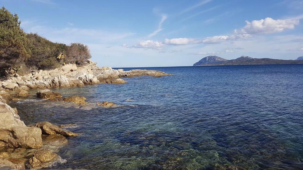 Holiday home A - Villaggio Punta Volpe - Iun S5393 *